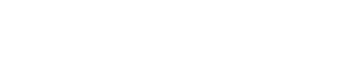 The Last Penguin
